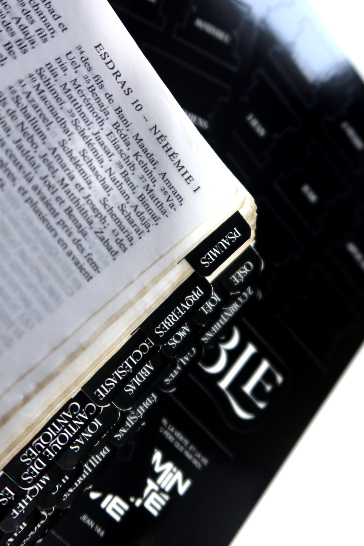 Onglets Biblique* Noir et blanc + 1 marque page offert
